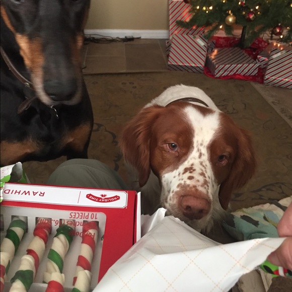 Meet your Posher, Eric - Picture 1 of 1